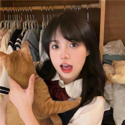 治愈队西游记